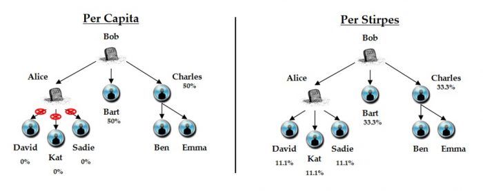 Financial Planning WONK Per Capita Versus Per Stirpes