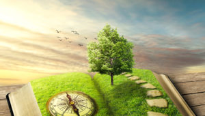 magic opened book covered with grass, compass, tree and stoned way on woody floor, balcony. Fantasy world, imaginary view. Book, tree of life, right way concept. Original screensaver.