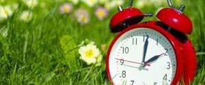 Clock in garden