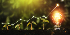 Lightbulb is located on the soil, and plant are growing.Renewable energy generation is essential in the future.