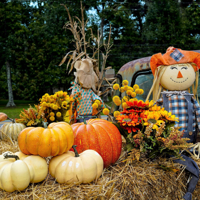 Boy Scarecrow, pumpkins, sunflowers on bales of hay for a hayride on the bed of an old rustic antique truck in Tennessee, USA.  Autumn decoration. Halloween. Harvest Festival. Thanksgiving.