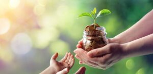 Seeds of Savings: 530A Accounts Explained - Pt. 2 1255619324