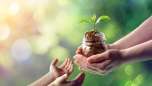 Seeds of Savings: 530A Accounts Explained - Pt. 2 1255619324